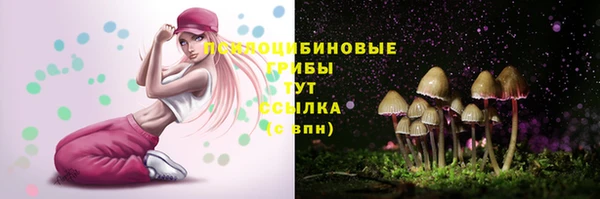 спайс Алзамай